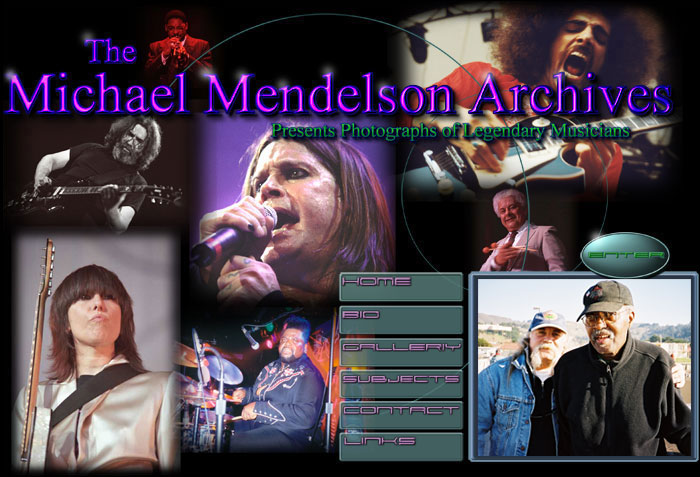 The Michael Mendelson Archives