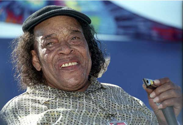 James Cotton, Harmonica